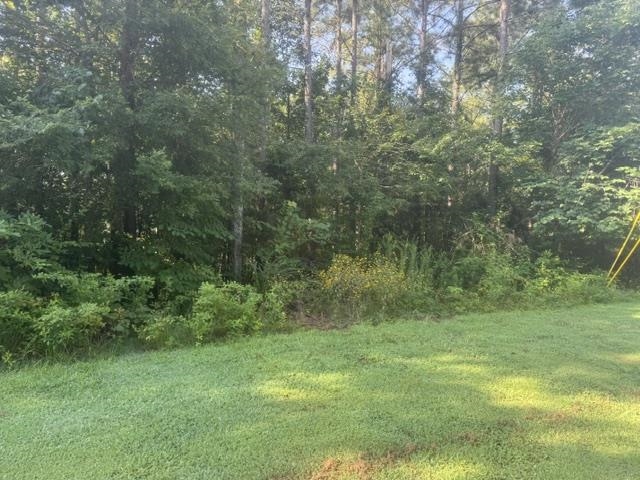 Tract 4 Carroll Hollow Rd Property Photo 27