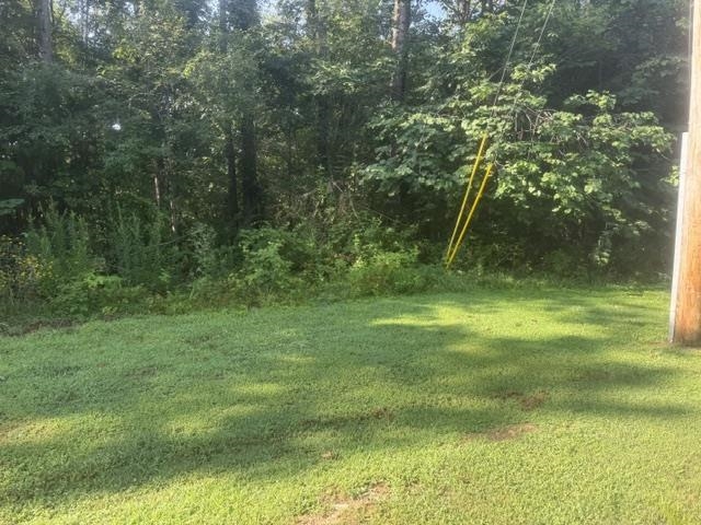 Tract 4 Carroll Hollow Rd Property Photo 28