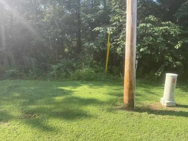 Tract 4 Carroll Hollow Rd Property Photo 29