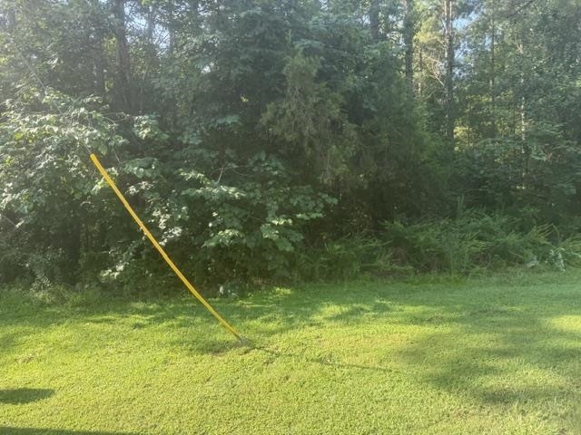 Tract 4 Carroll Hollow Rd Property Photo 30