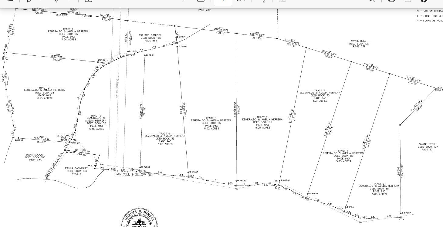 Tract 4 Carroll Hollow Rd Property Photo 32