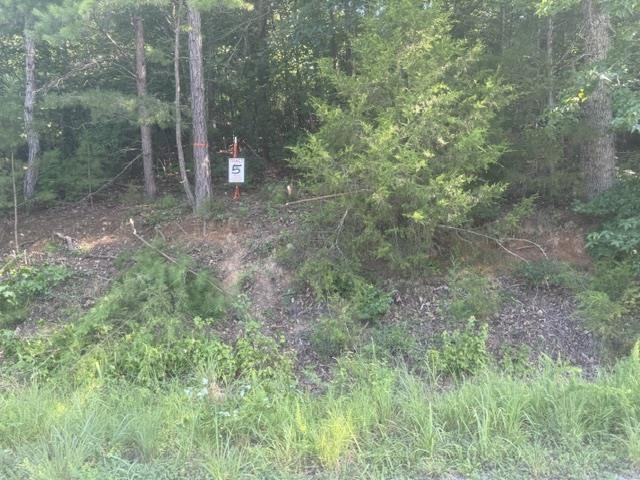 Tract 5 Carroll Hollow Rd Property Photo 1