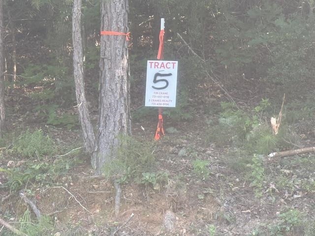 Tract 5 Carroll Hollow Rd Property Photo 2