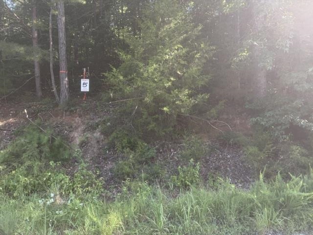 Tract 5 Carroll Hollow Rd Property Photo 3