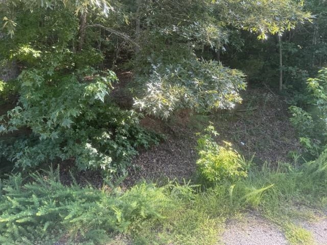 Tract 5 Carroll Hollow Rd Property Photo 4