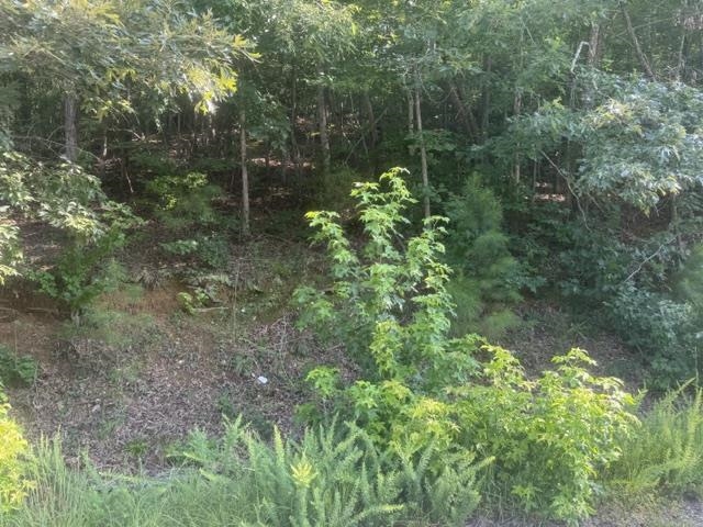 Tract 5 Carroll Hollow Rd Property Photo 5