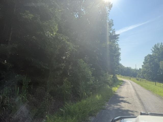 Tract 5 Carroll Hollow Rd Property Photo 6
