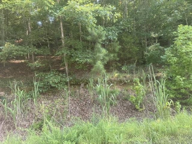 Tract 5 Carroll Hollow Rd Property Photo 7