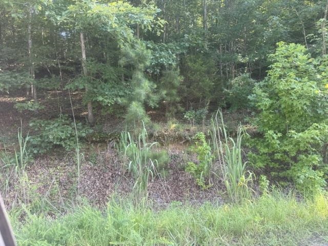 Tract 5 Carroll Hollow Rd Property Photo 8