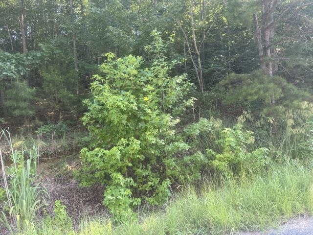 Tract 5 Carroll Hollow Rd Property Photo 9