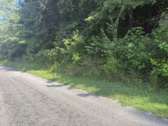 Tract 5 Carroll Hollow Rd Property Photo 10