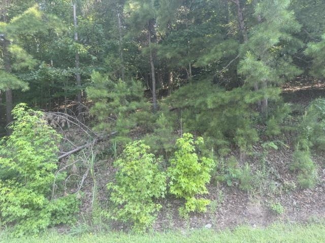 Tract 5 Carroll Hollow Rd Property Photo 11