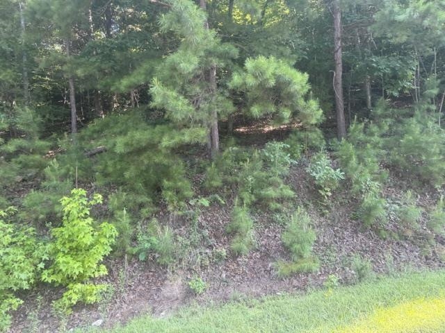 Tract 5 Carroll Hollow Rd Property Photo 12