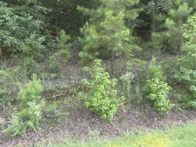 Tract 5 Carroll Hollow Rd Property Photo 13