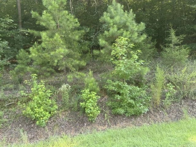 Tract 5 Carroll Hollow Rd Property Photo 14