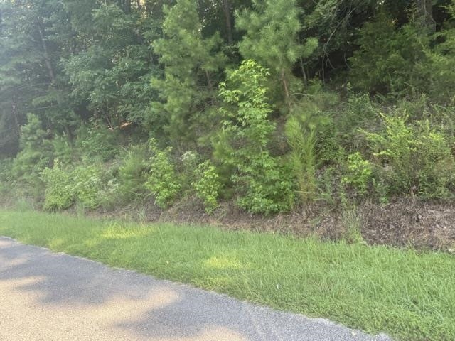 Tract 5 Carroll Hollow Rd Property Photo 15