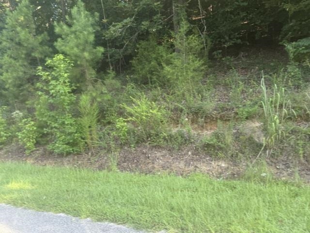 Tract 5 Carroll Hollow Rd Property Photo 16
