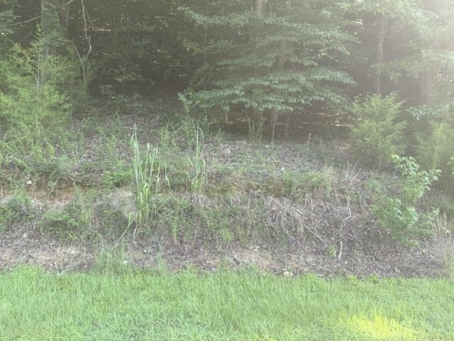 Tract 5 Carroll Hollow Rd Property Photo 17