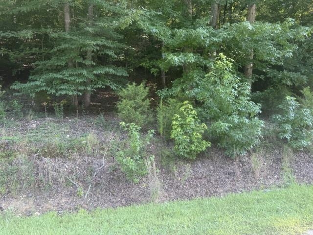 Tract 5 Carroll Hollow Rd Property Photo 18