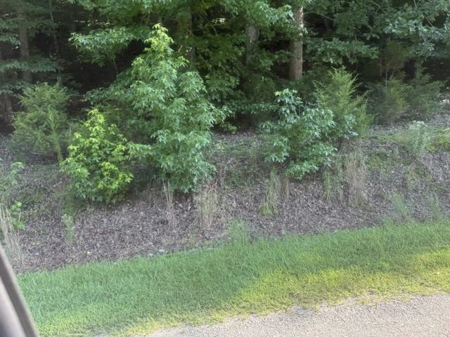 Tract 5 Carroll Hollow Rd Property Photo 19