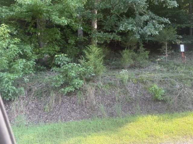 Tract 5 Carroll Hollow Rd Property Photo 20