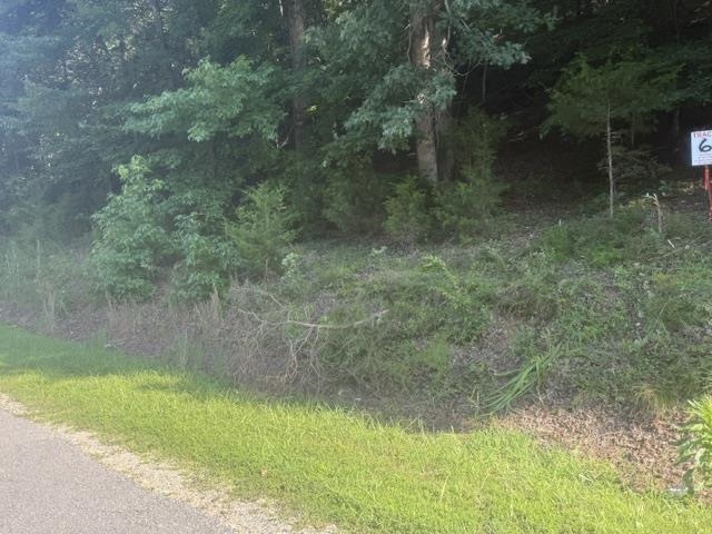 Tract 5 Carroll Hollow Rd Property Photo 21