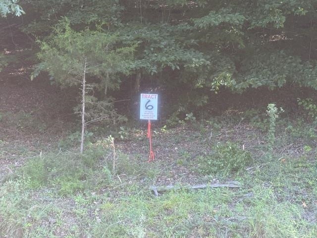 Tract 5 Carroll Hollow Rd Property Photo 22