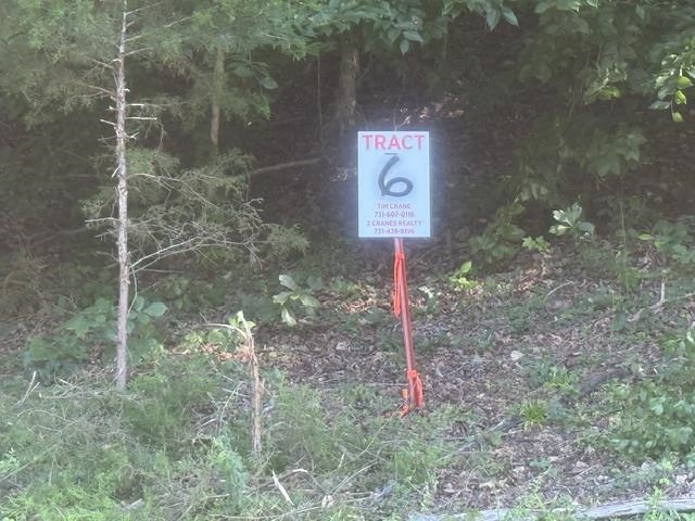 Tract 6 Carroll Hollow Rd Property Photo 2