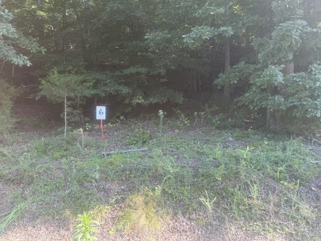 Tract 6 Carroll Hollow Rd Property Photo 3