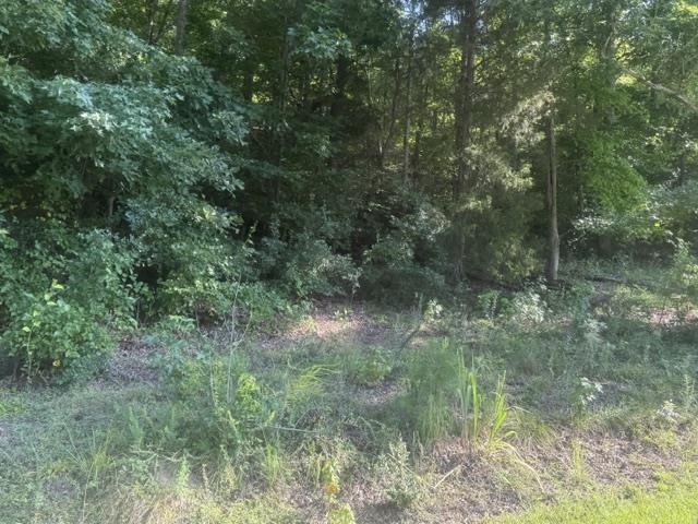 Tract 6 Carroll Hollow Rd Property Photo 4