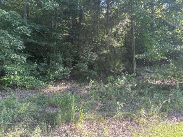 Tract 6 Carroll Hollow Rd Property Photo 5