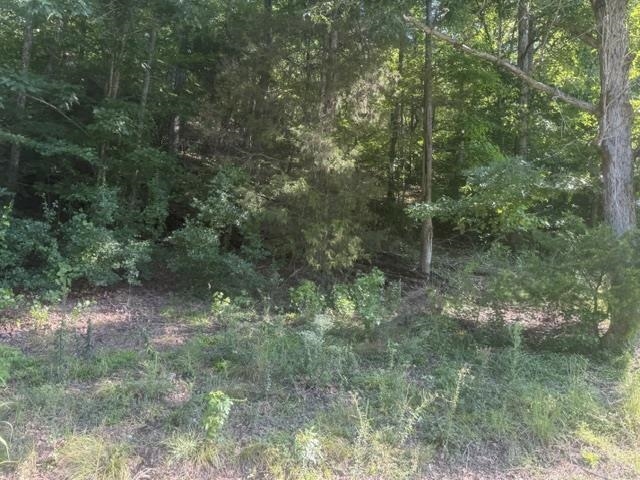 Tract 6 Carroll Hollow Rd Property Photo 6