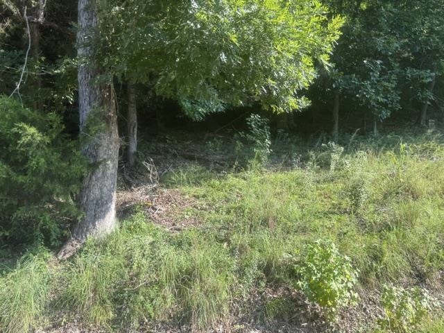 Tract 6 Carroll Hollow Rd Property Photo 7