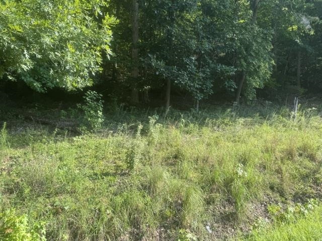 Tract 6 Carroll Hollow Rd Property Photo 8