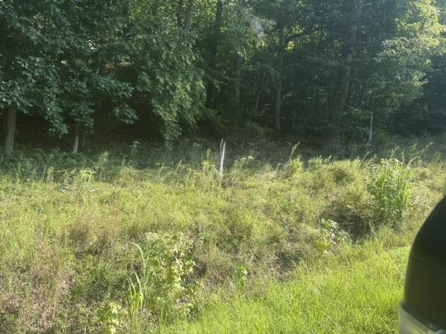 Tract 6 Carroll Hollow Rd Property Photo 9