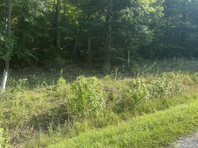 Tract 6 Carroll Hollow Rd Property Photo 10