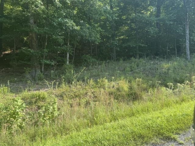 Tract 6 Carroll Hollow Rd Property Photo 11
