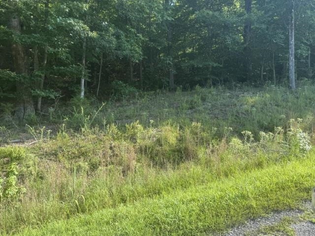 Tract 6 Carroll Hollow Rd Property Photo 12