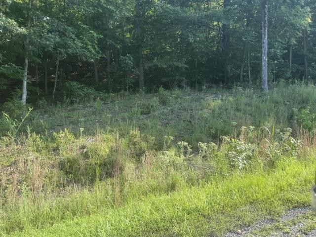 Tract 6 Carroll Hollow Rd Property Photo 13