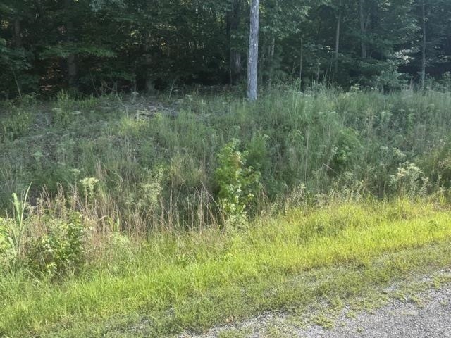 Tract 6 Carroll Hollow Rd Property Photo 14