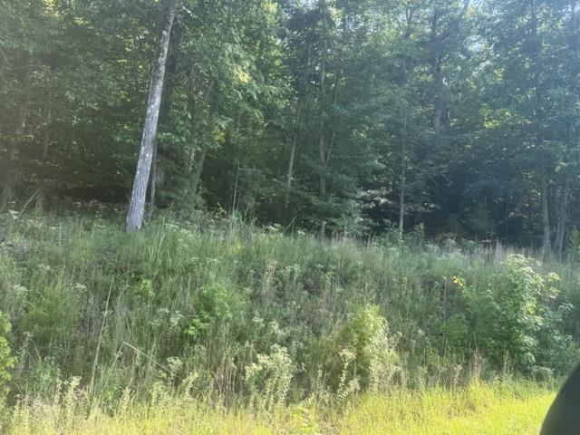 Tract 6 Carroll Hollow Rd Property Photo 15