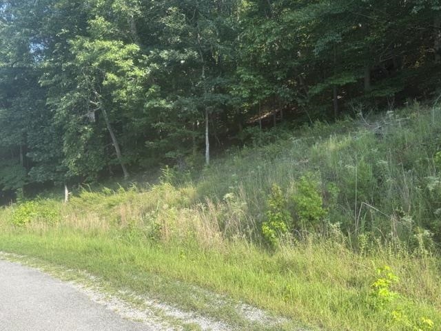 Tract 6 Carroll Hollow Rd Property Photo 16