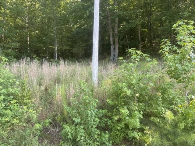 Tract 6 Carroll Hollow Rd Property Photo 18