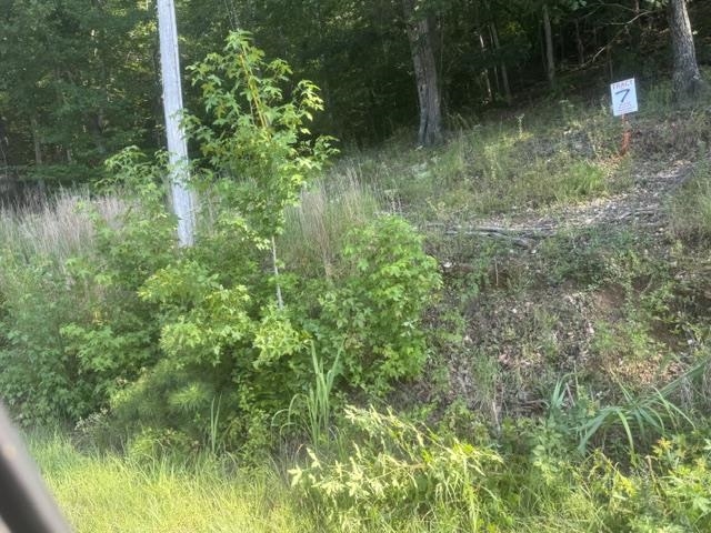 Tract 6 Carroll Hollow Rd Property Photo 19