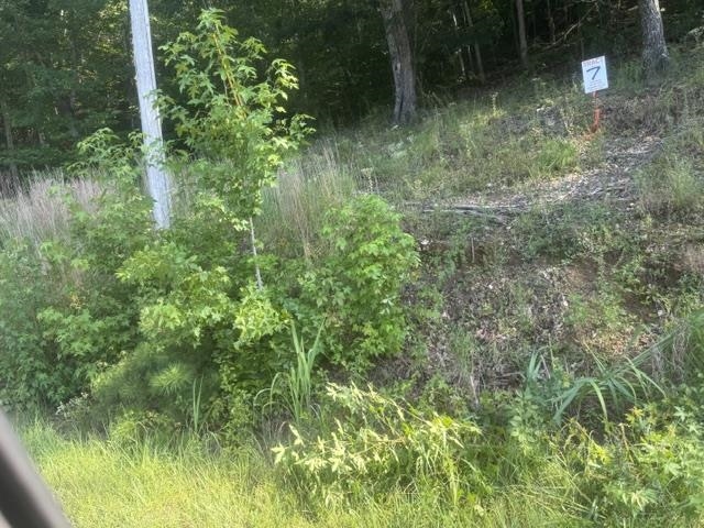 Tract 6 Carroll Hollow Rd Property Photo 20