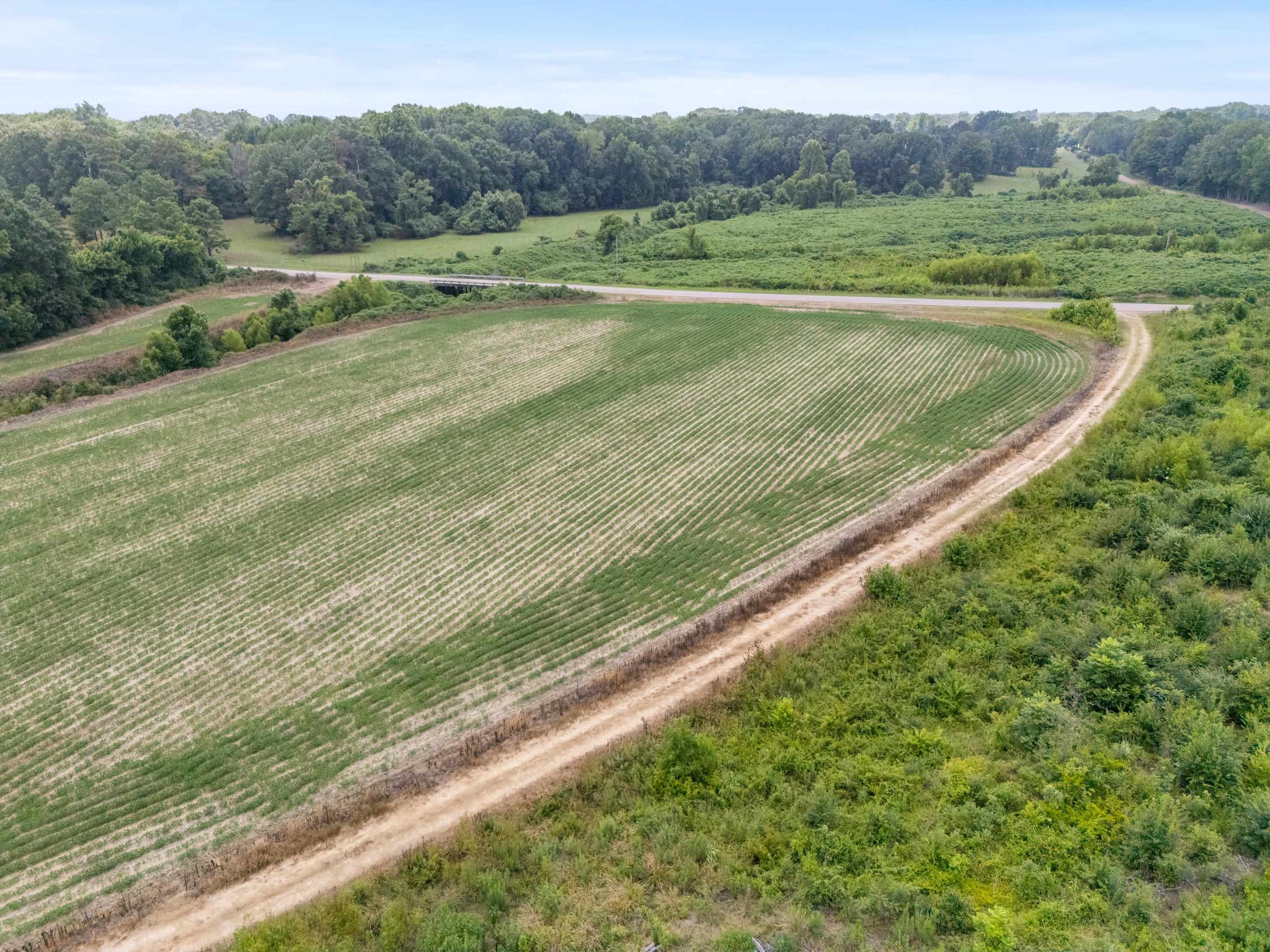 5400 Brownsferry Rd Property Photo 11