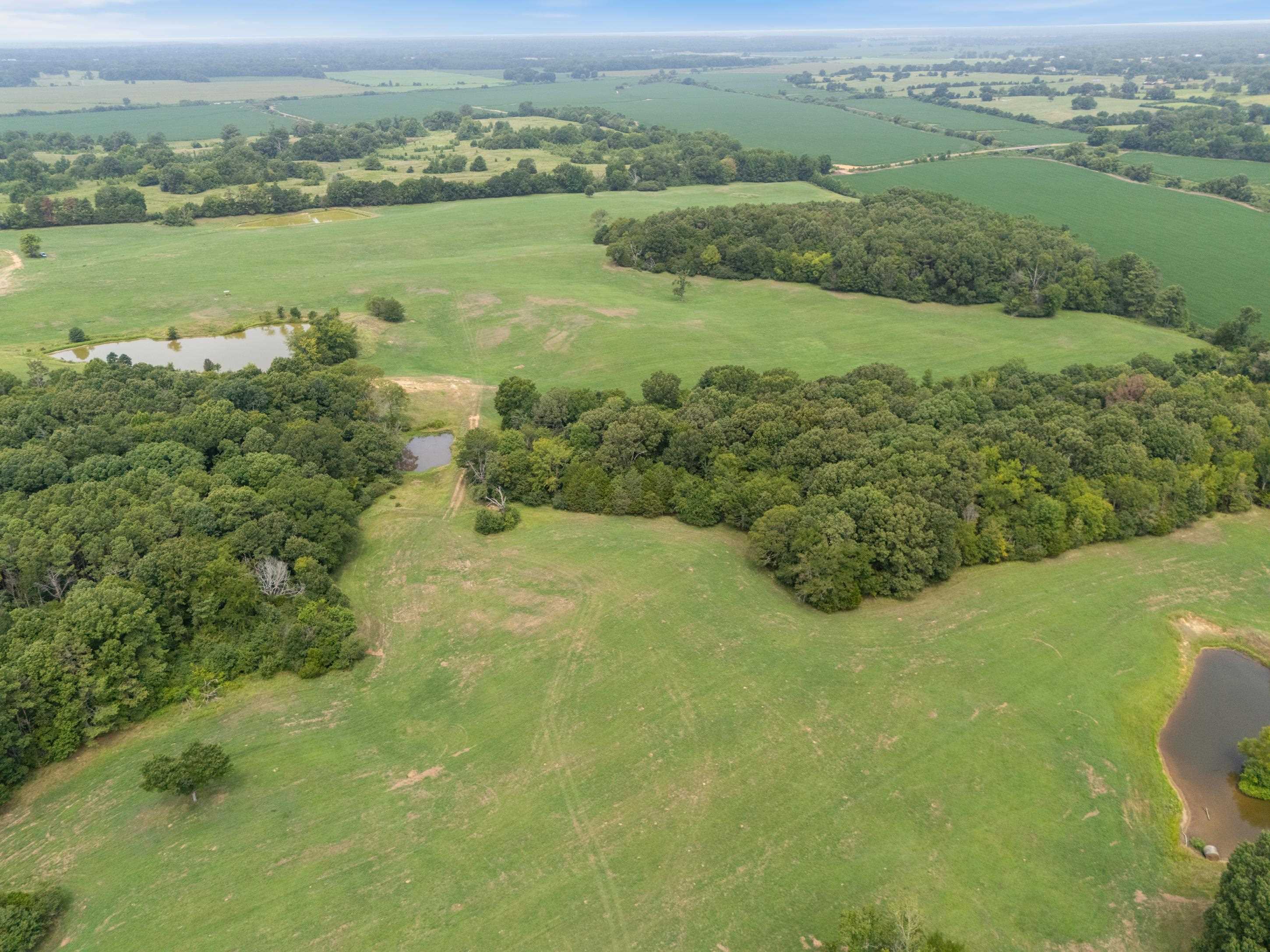 2300 Brownsferry Rd Property Photo 8