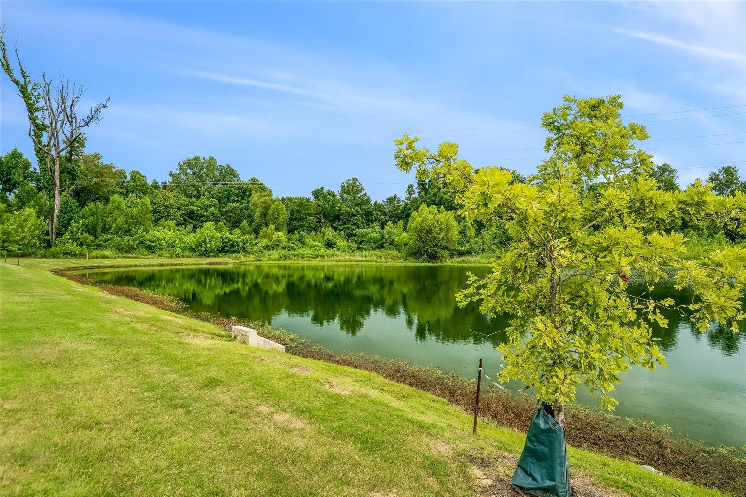4786 Barrett Oaks Dr Property Photo 29