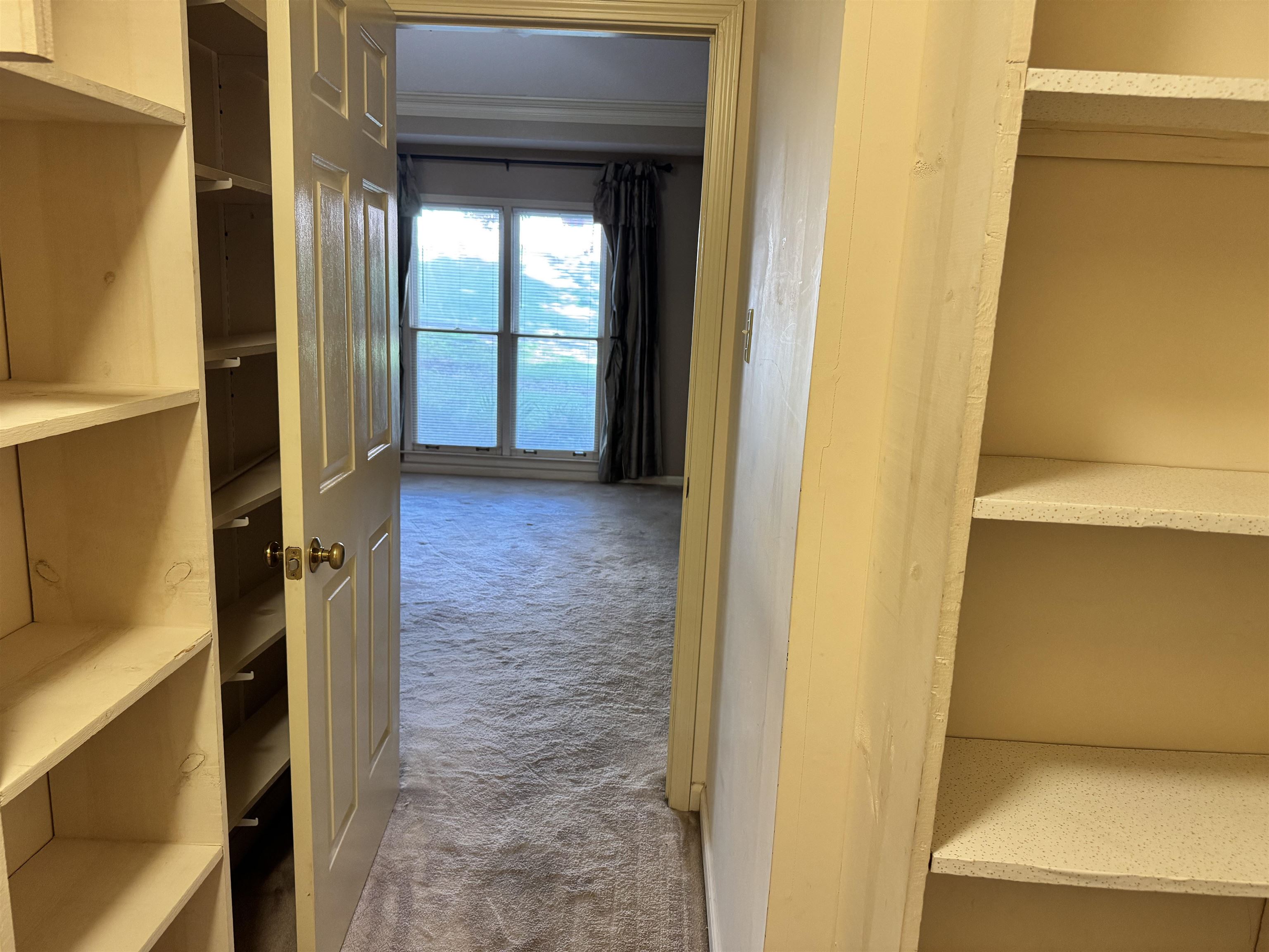 2025 Mt Badon Ln Property Photo 11