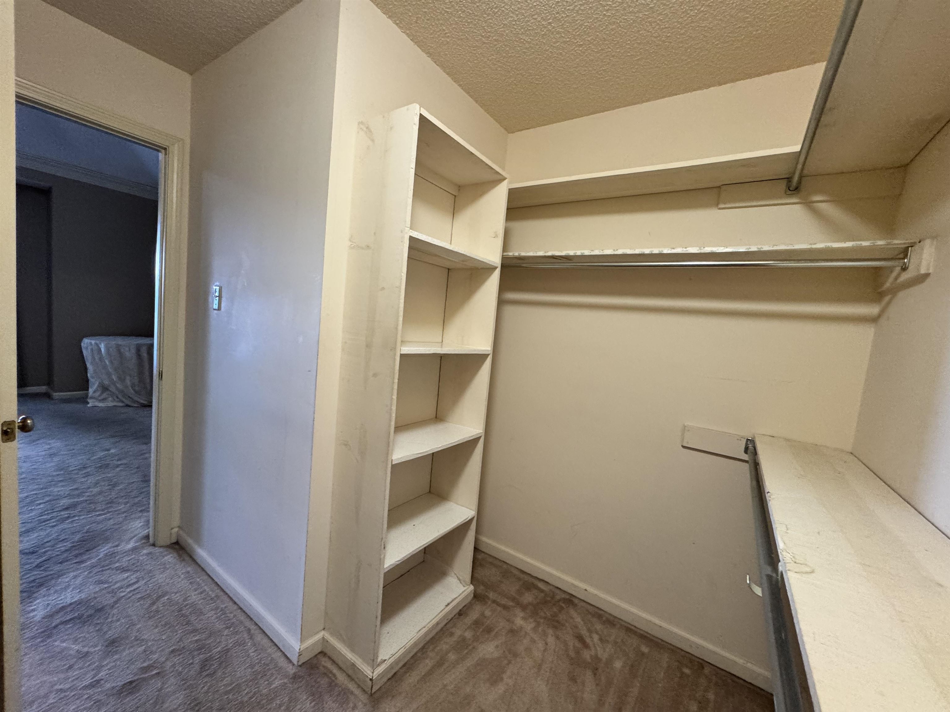 2025 Mt Badon Ln Property Photo 12